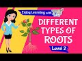 Different Types Of Root Level 3 Tutway
