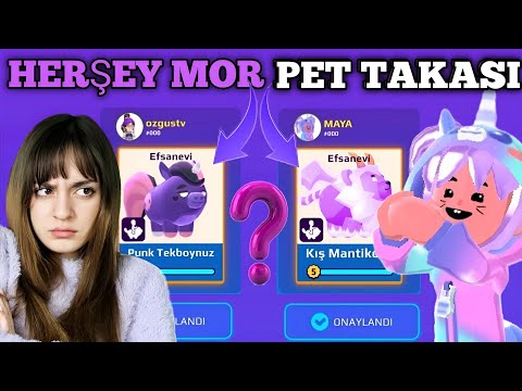 PURPLE PET EXCHANGE FOR PK XD YEAST!? 24 HOURS PURPLE PETS!! DID YEAST WIN THIS TIME? | ÖZGUS TV