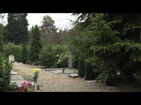 afbeelding Kill Your Darling