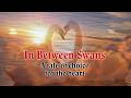 Bradfield :: In Between Swans (Official)