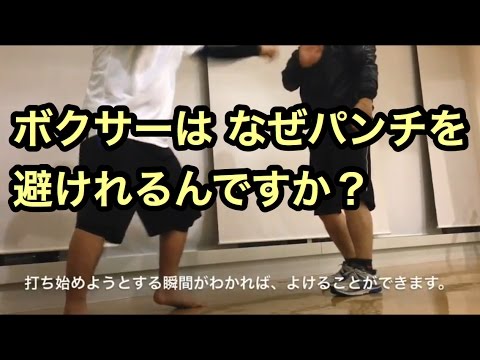 ボクサーは なぜパンチを避けれるんですか？　ジャブをよける　ボクシング練習