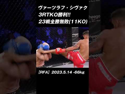 23戦全勝無敗 ヴァーツラフ・シヴァク #キックボクシング #K-1 #RISE #GLORY #ONE