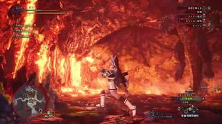 約半年ぶりのMHW!!まだ初心者ですがなにか？