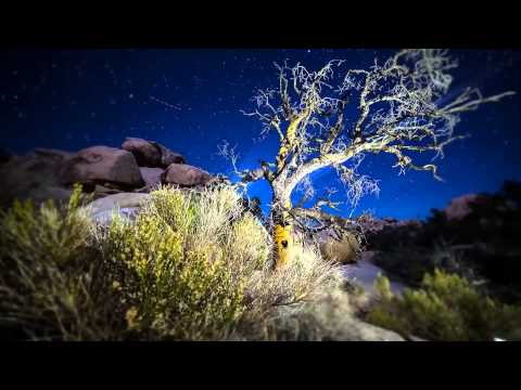 Bachianas Brasileiras (Maureen O'Flynn/Operatica)