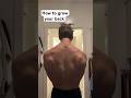 Bigger Back More Pull Ups