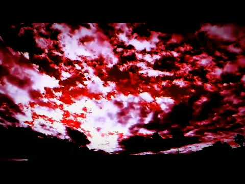 Dead till Monday-Favors