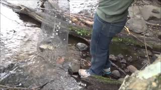 MUDBUGGIN 2013.  Another Few Days On The River.