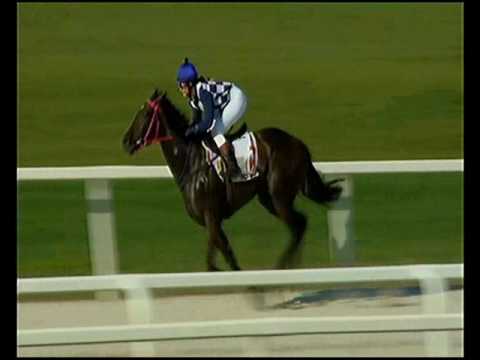 Amatőrverseny HP 1600m