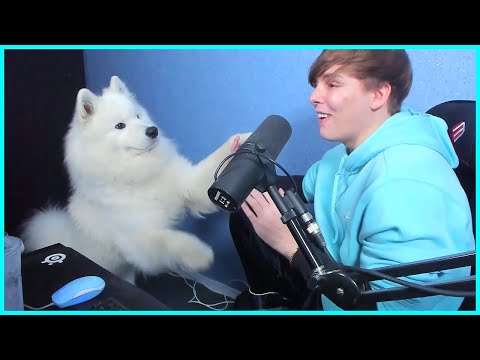 LS Gets Ganked by IRL Volibear And He Teaches Him to High-5