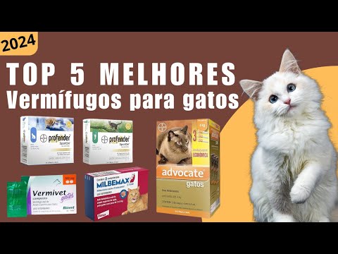 Top 5 Melhores Vermífugos Para Gatos 2024