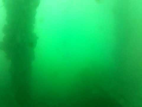 Edithburgh Live by AusOcean 21/03/2023