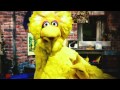 Obama Campaign Ad Big Bird A Criminal Mastermind