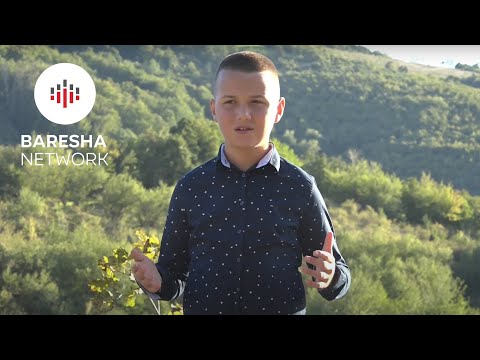 Aris Zogaj - Gjyshi im