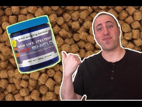 New Life Spectrum Hex Shield Review