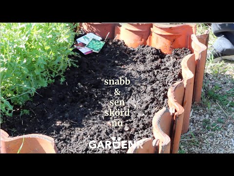 Saker att så under sommaren - Trädgårdshacks med GardenR