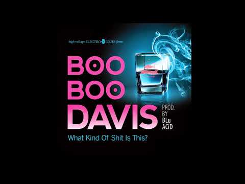 Boo Boo Davis - If You Ain't Never Had The Blues ( 2014 )