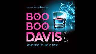 Boo Boo Davis - If You Ain&#39;t Never Had The Blues ( 2014 )