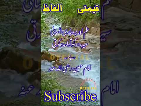 Burd bari | quotes in urdu |Fermane imam hussain |Qadeer ali official #urduquotes #virel #shorts