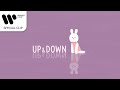 임지수 LIM JISOO UP DOWN Animated Video