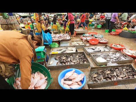 Awesome Cambodia Fish Market Scenes Early Morning - Fish, Seafood, Frog & People Activities | Samedy
