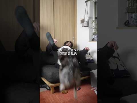 犬と二人暮らし30歳会社員👨‍💼🐶