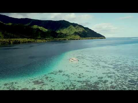 Erlando & Jules Kyng-Fields Of Gold