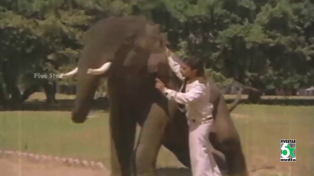 Nadakkattum Song Lyrics | Ram Lakshman