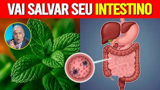 MÉDICOS AVISAM: Como DESINFLAMAR o intestino ANTES que seja TARDE