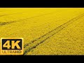4k Nature Vedios 4k Vedio 4k Ultra HD Vedio 4k Ultra HD Vedios For 4k TV S 4k Graphics Vedios
