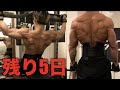 ボディビル5日前!!最後の背中トレーニングで全てを出し切る・・