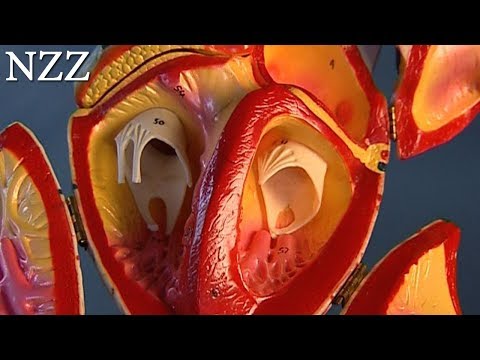 Ernährung und Behandlung von Prostatitis Prostatamassage verbessern
