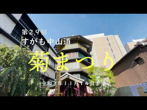 今年も開催！すがも中山道菊まつり2021