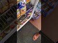 Chesilhurst NJ Gas Station Corner Store Review