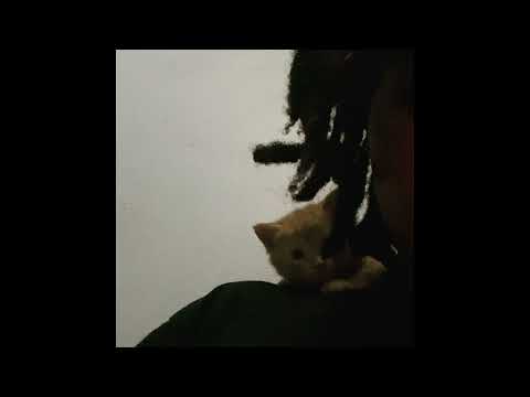 [free] new jazz + cheromani + pluggnb type beat "dont"