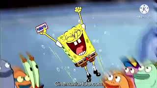 PLANKTON GET STOMPED