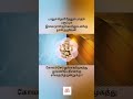பாலும் தெளி தேனும் தமிழ் வரிகளுடன் Paalu