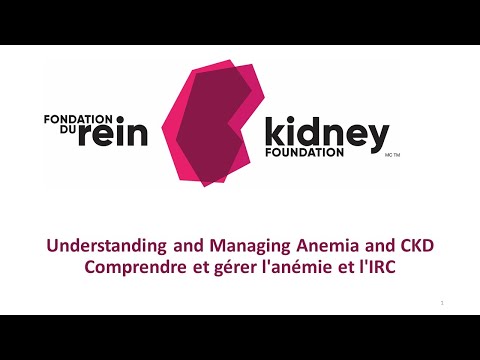 Comprendre et gérer l'anémie et l'IRC