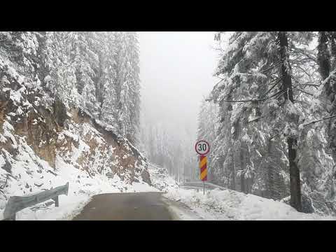 Transrarau noiembrie 2018