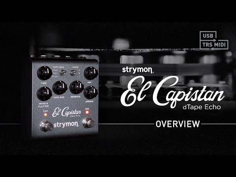 Strymon El Capistan dTape Echo V2 image 2