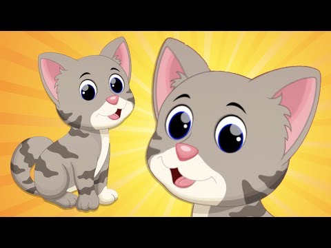 KEDİ KEDİCİK ÇOCUK ŞARKISI