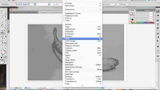 Live Paint in Illustrator