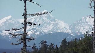 Mount Fairweather, 15400ft as seen from Gustavus, Alaska