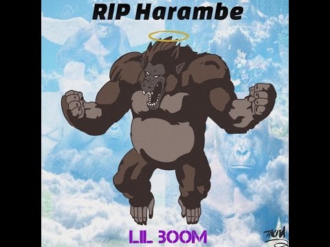 Lil Boom - Dicks Out For Harambe