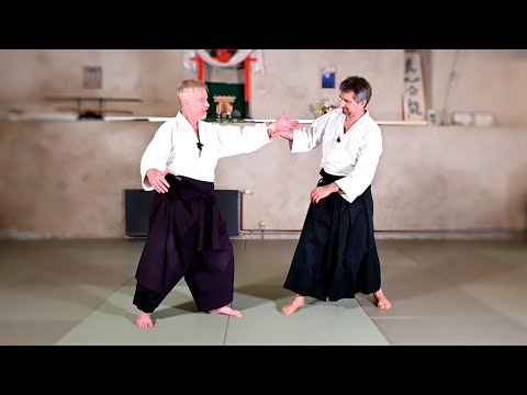 Aikido principles: EXTENSION - Aikido Virtual Dojo