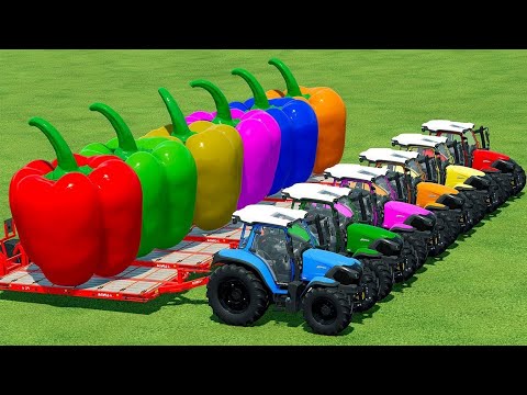 LOAD & TRANSPORT GIANT PEPPERS WITH FIAT TRACTORS - Farming Simulator 22