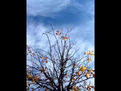 E57 Probealarm in Bayern Warnung der Bevölkerung