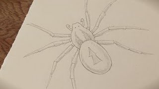 How To Make A Spider Drawing
