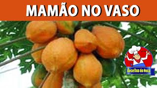 Miniatura do vídeo