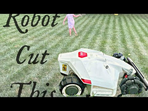 Only problem I found with the LUBA Robot Lawnmower