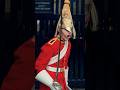 ROYAL GUARD HAS HAD ENOUGH POLICE STEPS IN Horse Guards Royal Guard Kings Guard Horse London